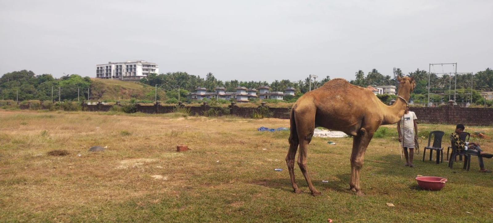 Bekal Fort Beach Resorts Bekal Town Экстерьер фото