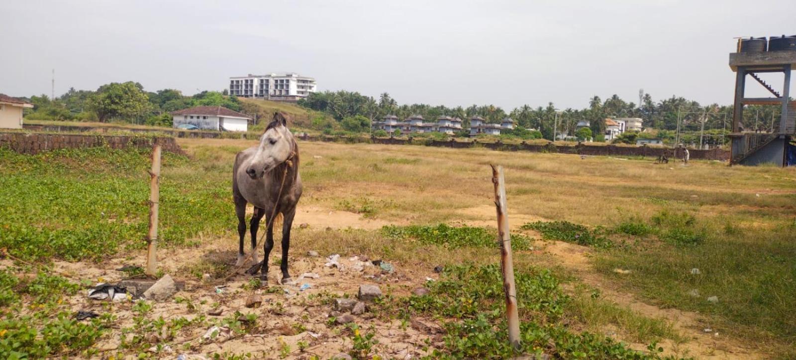 Bekal Fort Beach Resorts Bekal Town Экстерьер фото